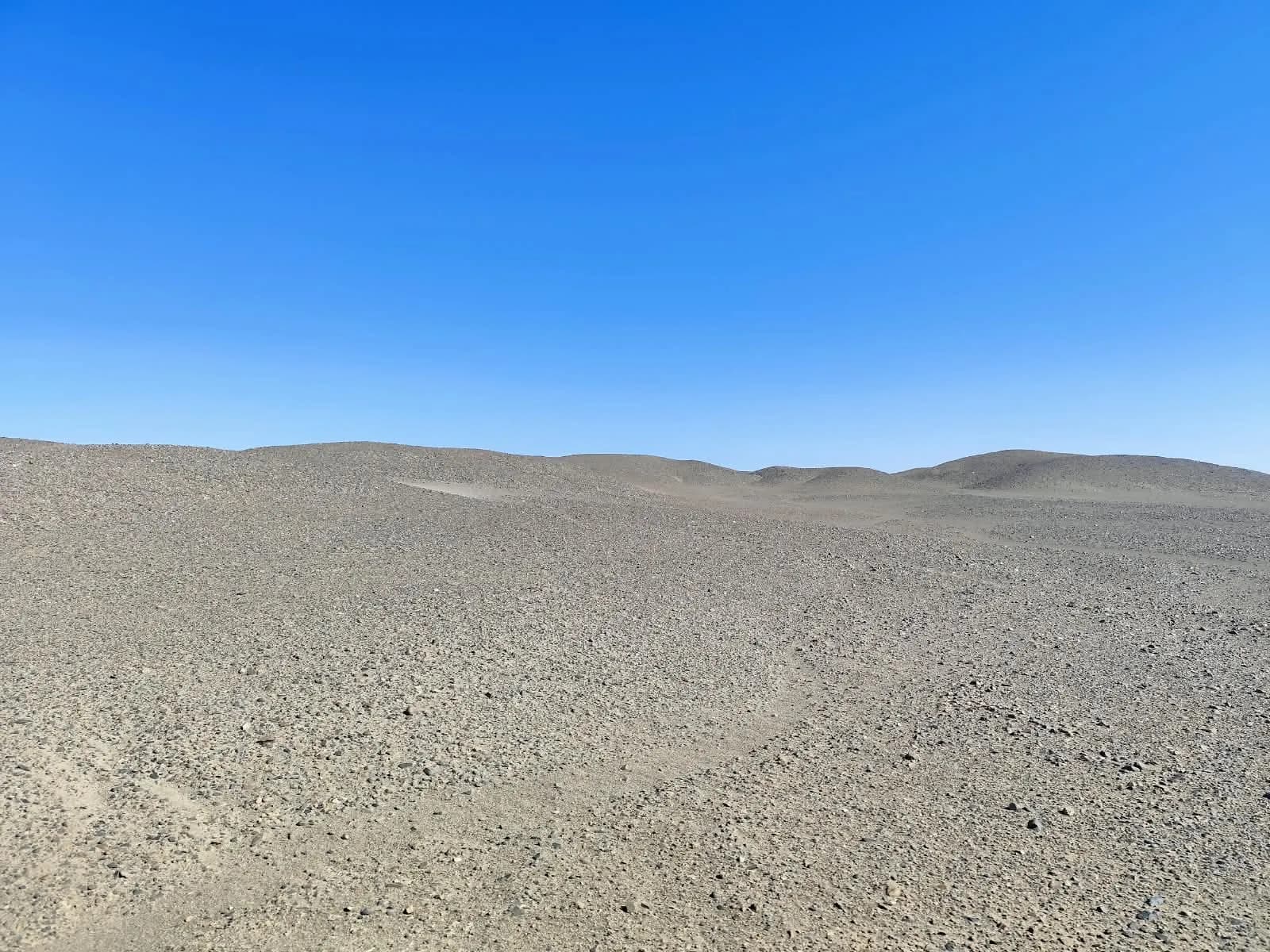 Reconocimiento de campo: pampa desértica