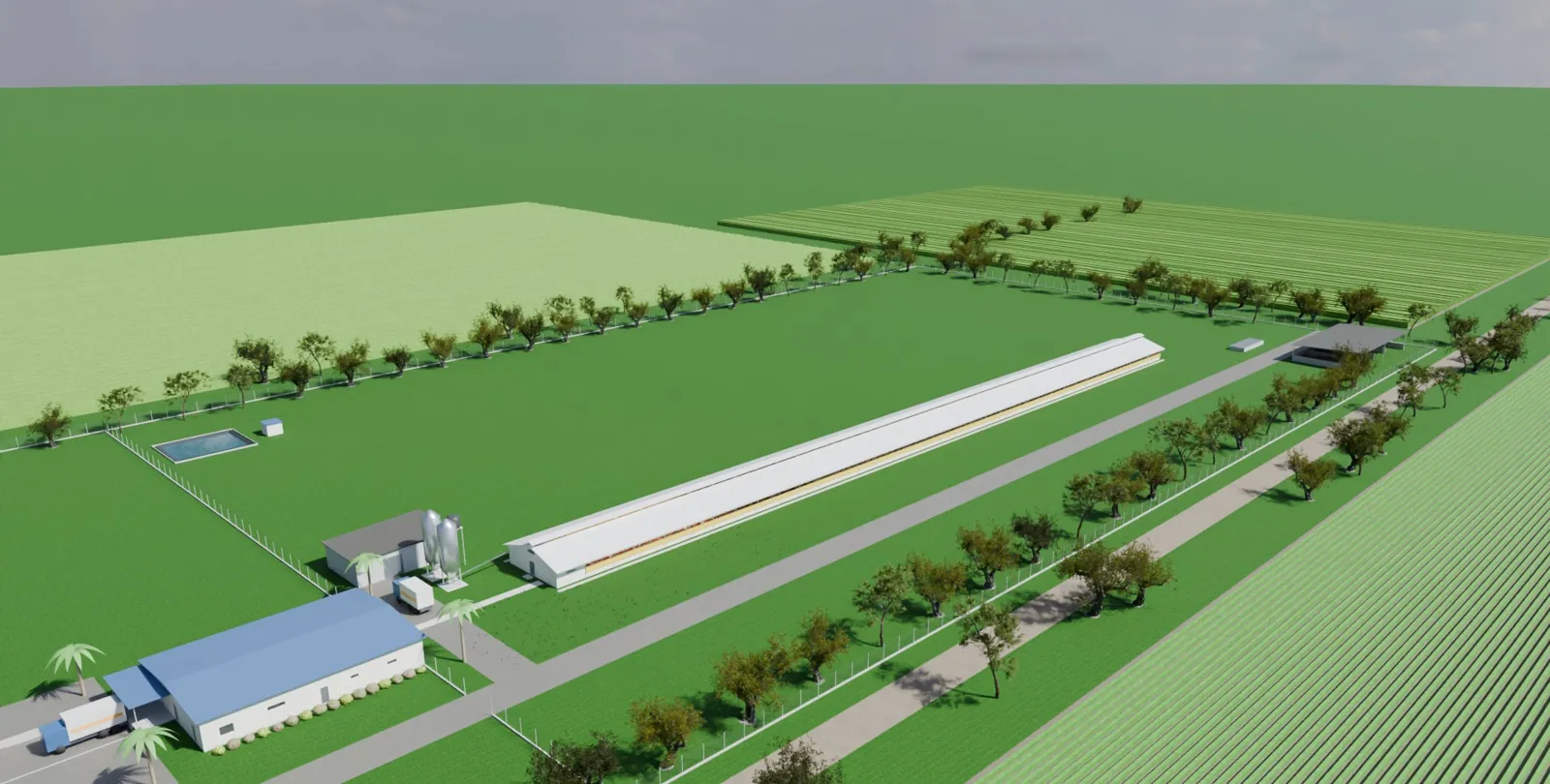 Galpón avícola y centro de acopio | Proyecto de diseño · Da Vinci Construction